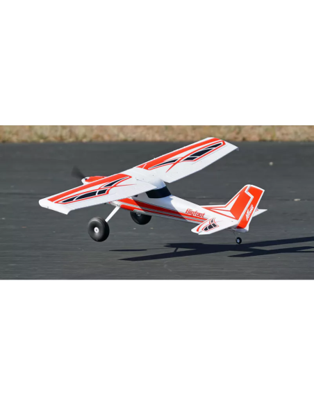 BigFoot 1300 mm PNP + vector