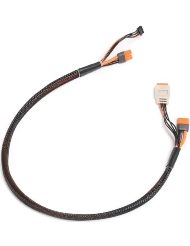 Cable de charge extension + équilibrage 2-4S IC3 Spektrum SPMX-1014 futurheli .