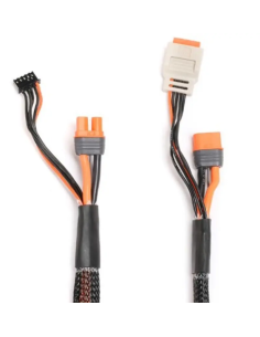 Cable de charge extension + équilibrage 2-4S IC3 Spektrum SPMX-1014 futurheli . 2