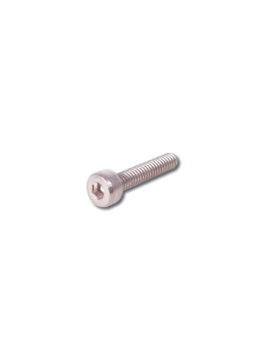 Vis BTR M2 x16 mm inox (10 pièces)