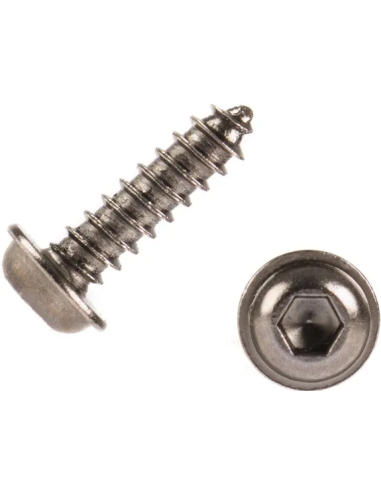 Vis pour servo à empreinte BTR 2,6x10 mm  ( x20)  futurheli distribution