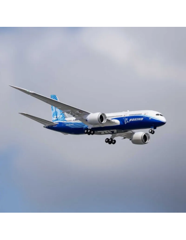 E-flite Micro Boeing 787 DreamLiner 2 turbines 30mm EFL78750