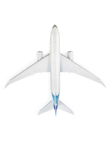 E-flite Micro Boeing 787 DreamLiner 2 turbines 30mm EFL78750