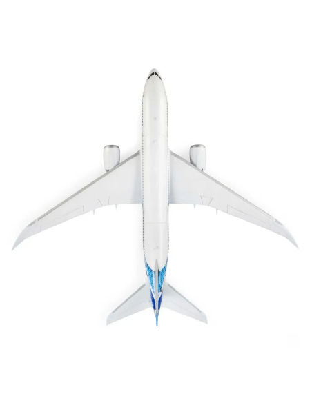 E-flite Micro Boeing 787 DreamLiner 2 turbines 30mm EFL78750