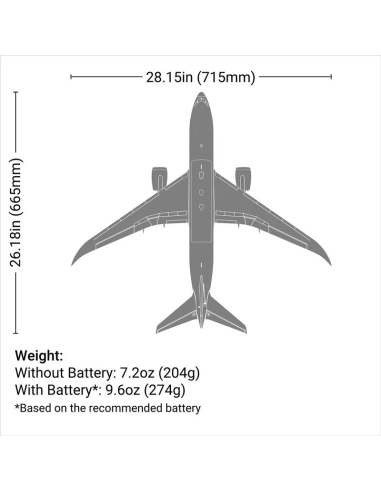 E-flite Micro Boeing 787 DreamLiner 2 turbines 30mm EFL78750