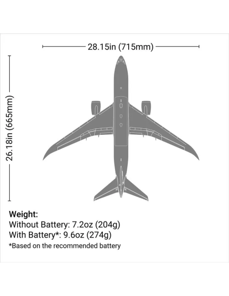 E-flite Micro Boeing 787 DreamLiner 2 turbines 30mm EFL78750