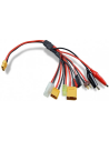 Cable multifonctions 8 en 1avec prise XT60 coté chargeur  distribué par Futurheli RC .
