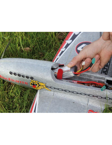 DogFighter RR Multiplex