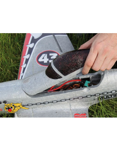 DogFighter RR Multiplex