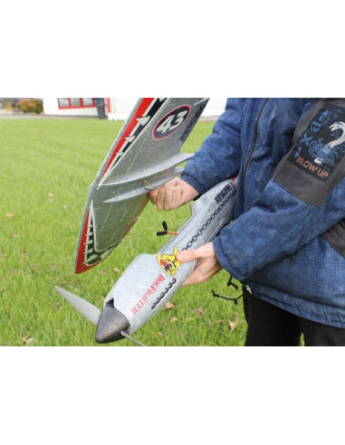 DogFighter RR Multiplex