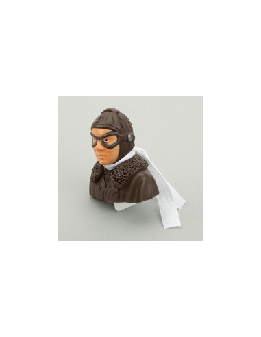 PKZ5907 pilote Albatros Parkzone