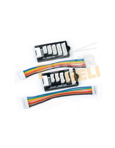 Chargeur Black Wizard Quatro 12 / 220 V  T2M