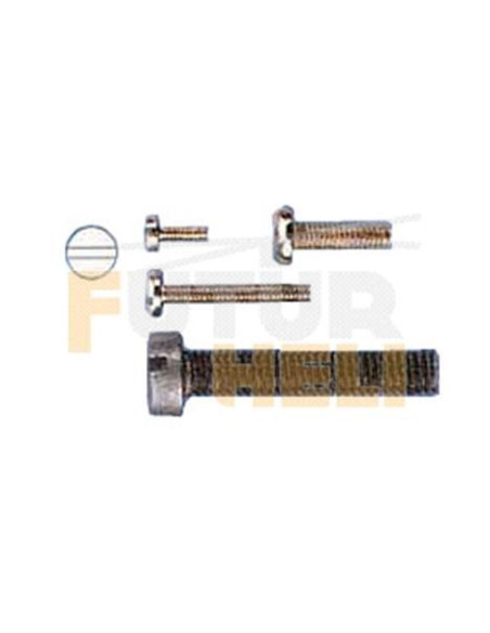 Vis à tête cylindrique M2x4  livré par 20 Graupner 704.4