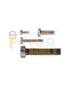 Vis à tête cylindrique M2x4  livré par 20 Graupner 704.4