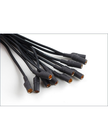 Hobbywing Quatro 25 A x 4 Skywalker 4en 1