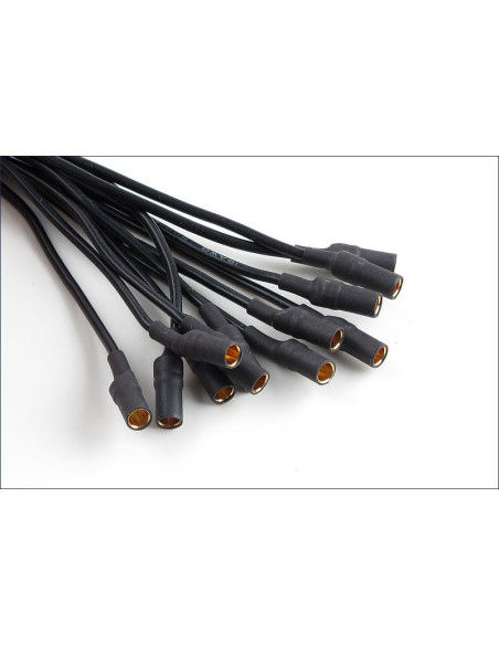 Hobbywing Quatro 25 A x 4 Skywalker 4en 1