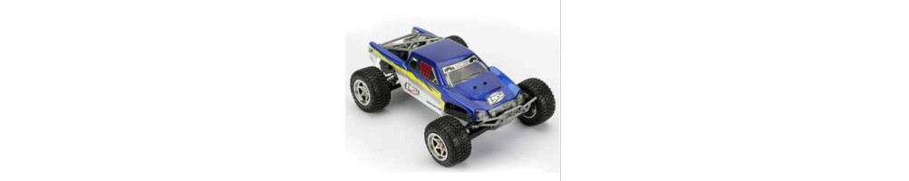 Pièces détachées Mini Desert Truck Losi