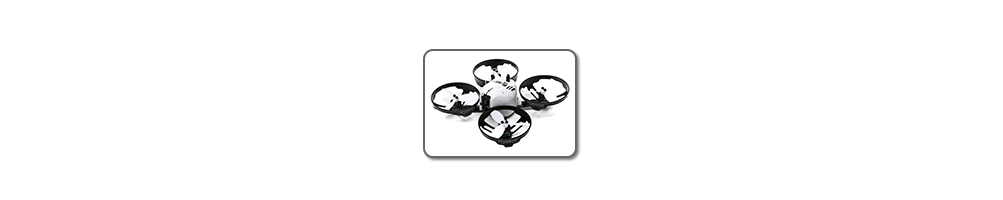 Option pour Blade Torrent 110FPV rakonheli