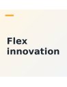 Flex innovation – Avion : modélisme RC Futurheli, Haute-Savoie