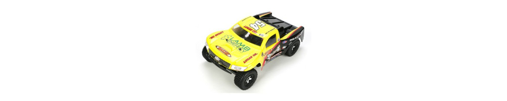 Pièces pour 1/16 scale short course truck LOSI chez Futurheli.com