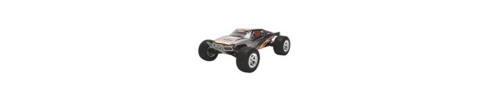 Achat pièces desert Truck Losi chez Futurheli.com