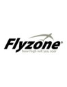 FlyZone