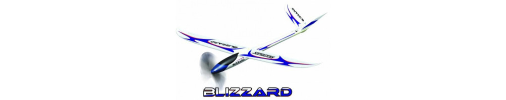 pièces blizzard multiplex