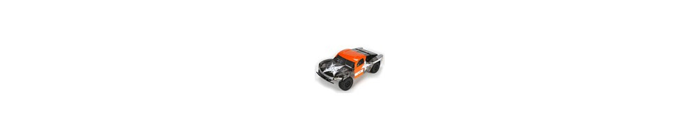 pièces pour Torment 1:10 2wd ECX