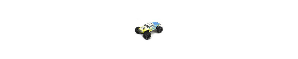 Ruckus 1:10 4wd Monster Truck Brushed: RTR