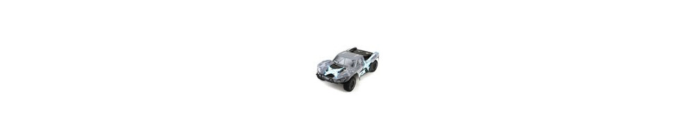 Torment 1:10 4wd SCT Brushed: RTR