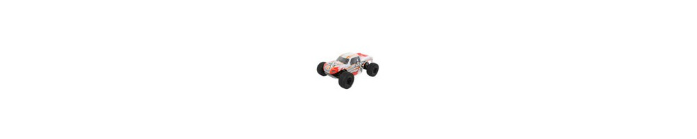 Pièces AMP MT 1:10 2WD Monster Truck ECX