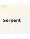 Serpent – Voiture RC : modélisme RC Futurheli, Haute-Savoie