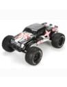 Ruckus 1/10 eme 2WD ECX RC