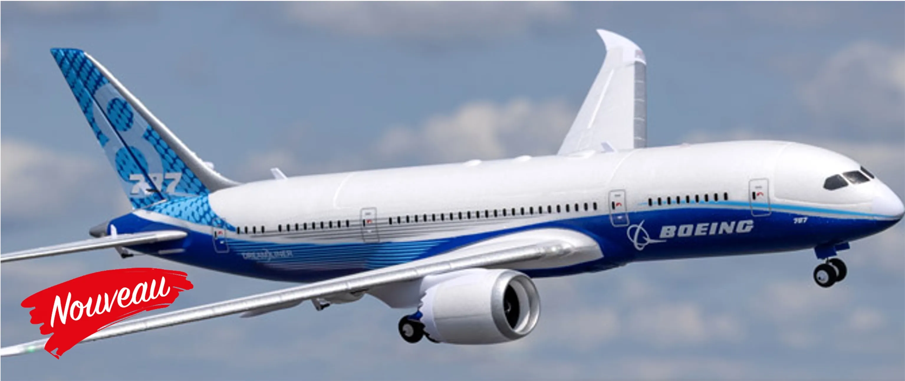 E-flite Micro Boeing 787 DreamLiner EFL78750