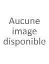 Buggy RC